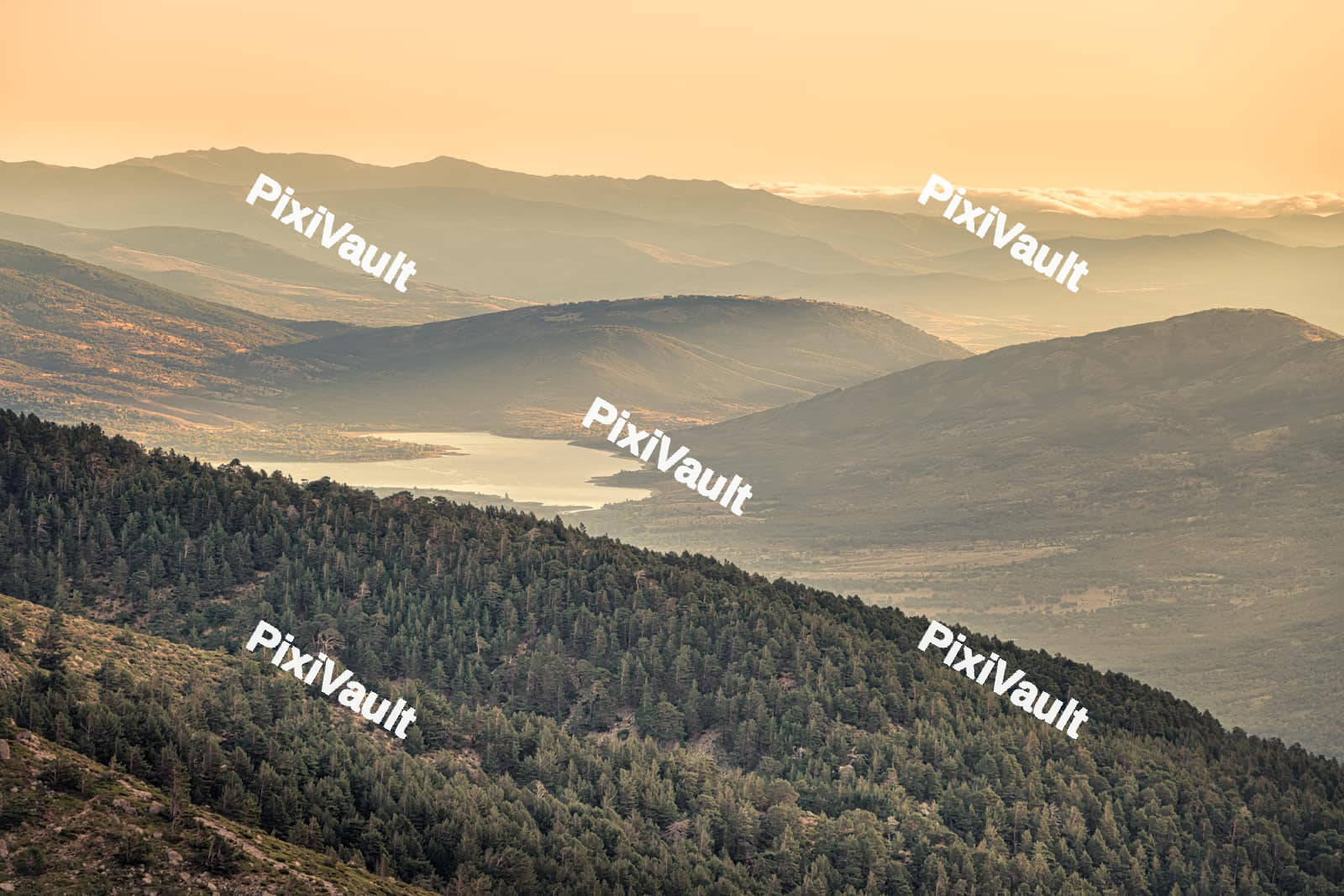 Natural landscape with beautiful vegetation